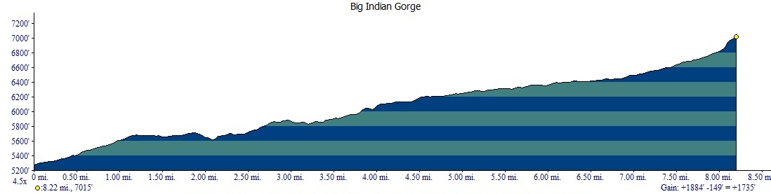 Hiking up Big Indian Gorge from South Steens Campground in a gentle walk.