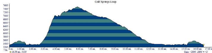 The route from South Steens Campground to Page Springs is relatively easy