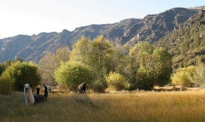 Typical gorge campsite