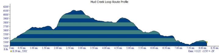 The route from South Steens Campground to Page Springs is relatively easy