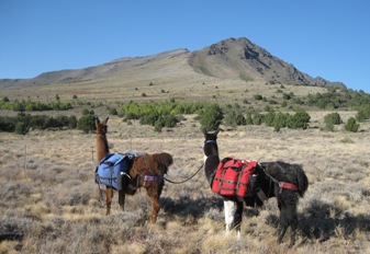 View of the mouth of Big Indian Gorge from Ankle Basin on Steens Mountain