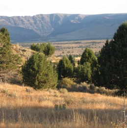 Creeksides are lush onSteens Mountain.