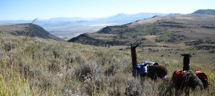 View looking south from the base of Ankle Mtn toward Public Waterhole.