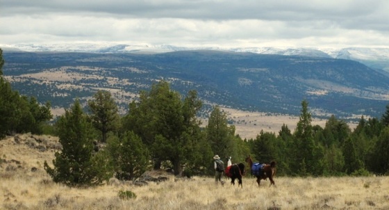 View across Donner und Blitzen River toward Steens Mtn. summit