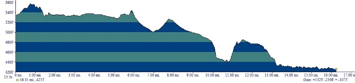 The route from South Steens Campground to Page Springs is relatively easy