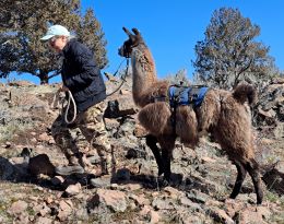 Angus hikes through rocky terrain.