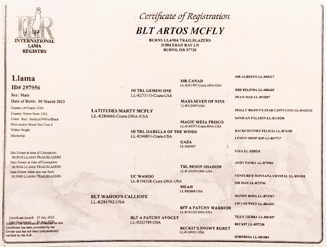 Pedigree of BLT Artos McFly